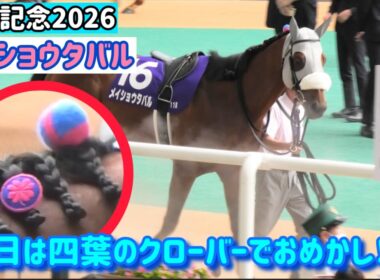 【宝塚記念2026】たてがみに四葉のクローバー🍀でおめかしして連覇を狙っちゃうメイショウタバル