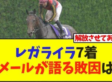 レガライラ宝塚記念は7着、ルメールが語る敗因は…【競馬】