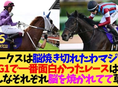 【春G1】ジュウリョクピエロのオークス、メイショウタバルの宝塚記念…2026年上半期ベストレースはどれ？競馬ファンの答えが割れすぎてるwww【競馬】
