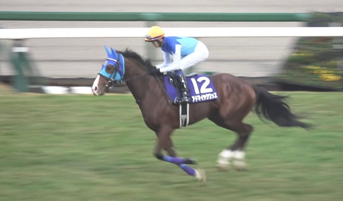 【現地 本馬場入場】2025 G1 朝日杯フューチュリティステークス 【阪神競馬場】