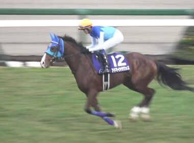 【現地 本馬場入場】2025 G1 朝日杯フューチュリティステークス 【阪神競馬場】
