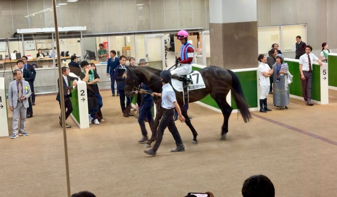 第93回東京優駿（日本ダービー）馬場入り前の検量室前の様子　ロブチェン