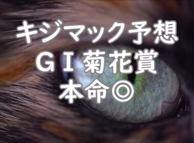 【競馬】2026年GⅠ菊花賞　キジマック予想◎ｽﾄﾏｯｸ