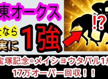 【競馬予想】関東オークス2026　宝塚記念17万超的中！　2100mに伸びて最強だが1つだけ不安要素があります・・・