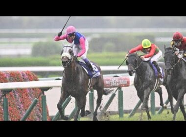 🌧️衝撃の重馬場…それでも強かった！メイショウタバル激闘の宝塚記念2026🏇