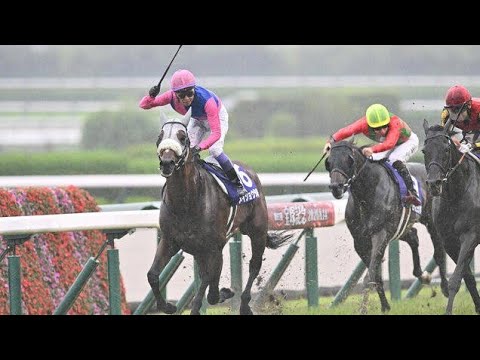 🌧️衝撃の重馬場…それでも強かった！メイショウタバル激闘の宝塚記念2026🏇