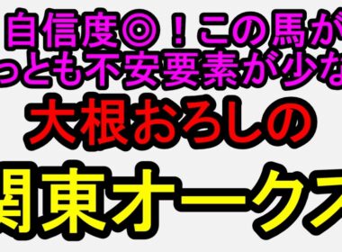 関東オークス2026！このメンツならこの馬でいいでしょう！【競馬予想】