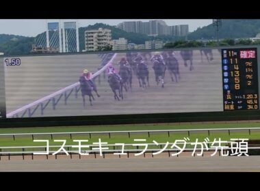 【感動】メイショウタバルが宝塚記念を連覇❗武豊騎手は2週連続のGⅠ勝利❗