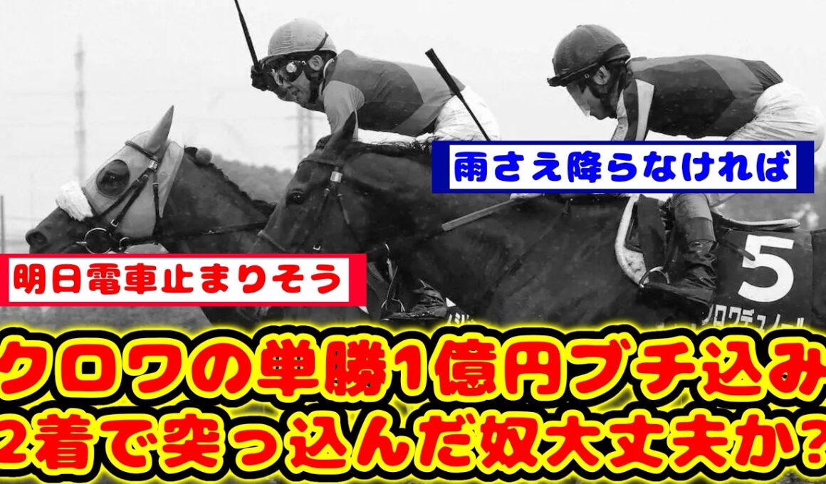 【宝塚記念】前日に単勝1億円以上がブチ込まれたクロワデュノールが2着になりブチ込んだ人を心配するのが話題に！！【競馬反応集】