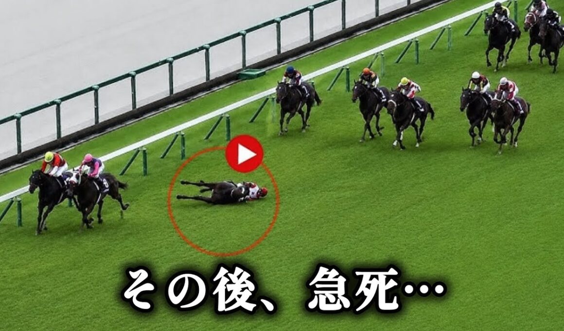 【宝塚記念】マイユニバース急死…最後の直線で異変、競走中止後に急性心不全と判明 🐎😭