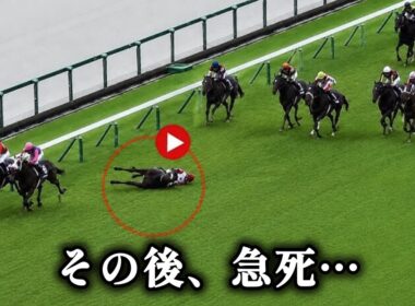 【宝塚記念】マイユニバース急死…最後の直線で異変、競走中止後に急性心不全と判明 🐎😭