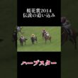 【桜花賞2014】ハープスター伝説の追い込み‼️ #競馬 #jra #桜花賞 #ハープスター