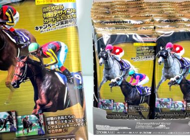 サラブレッドホースコレクション ツインウエハース 第4R『1BOX 開封』Thoroughbred Horse Collection 4 Card Horse Racing カード 競馬 食玩
