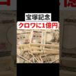 【宝塚記念】クロワデュノールに1億円賭けた男の末路…#short#1億ニキ #大口投票 #絶望 #神回
