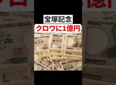 【宝塚記念】クロワデュノールに1億円賭けた男の末路…#short#1億ニキ #大口投票 #絶望 #神回