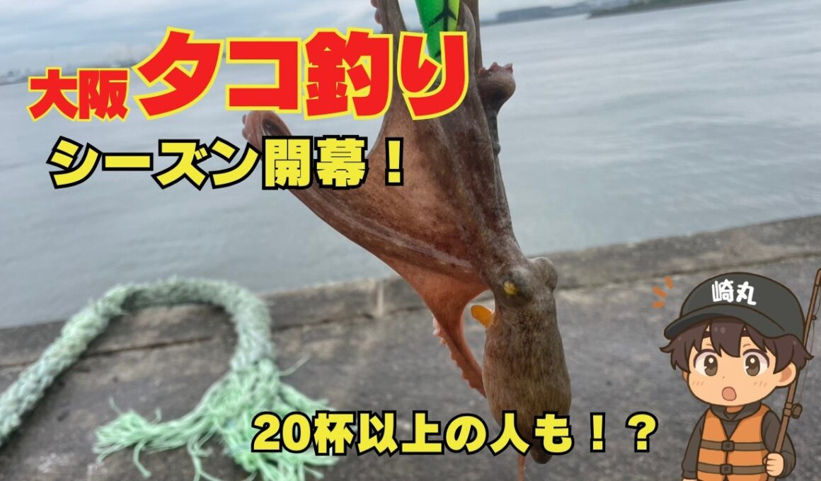 大阪湾タコ釣りシーズン開幕！20杯以上釣ってる人もいる！？