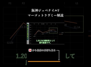 阪神ジュベナイルフィリーズ ラップタイム分析【マーゴットラヴミー編】