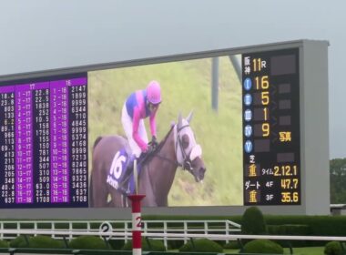 宝塚記念2026 超大荒れの現地観戦！煽りV～ファンファーレ～レース