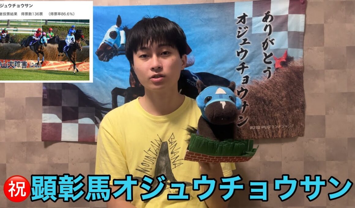 オジュウチョウサンが顕彰馬に選ばれて本当に良かった！本当は去年に選ばれるべきだった