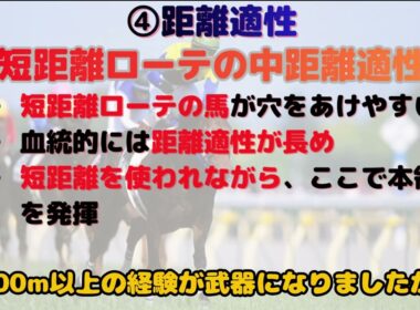 2025 朝日杯フューチュリティステークス（阪神11R・芝1600m）