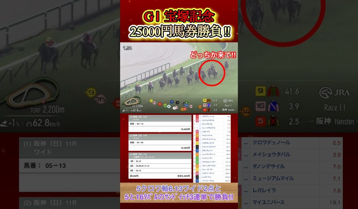 宝塚記念に25000円大勝負してみた！  #競馬  #馬券勝負  #宝塚記念  #メイショウタバル  #武豊  #shorts