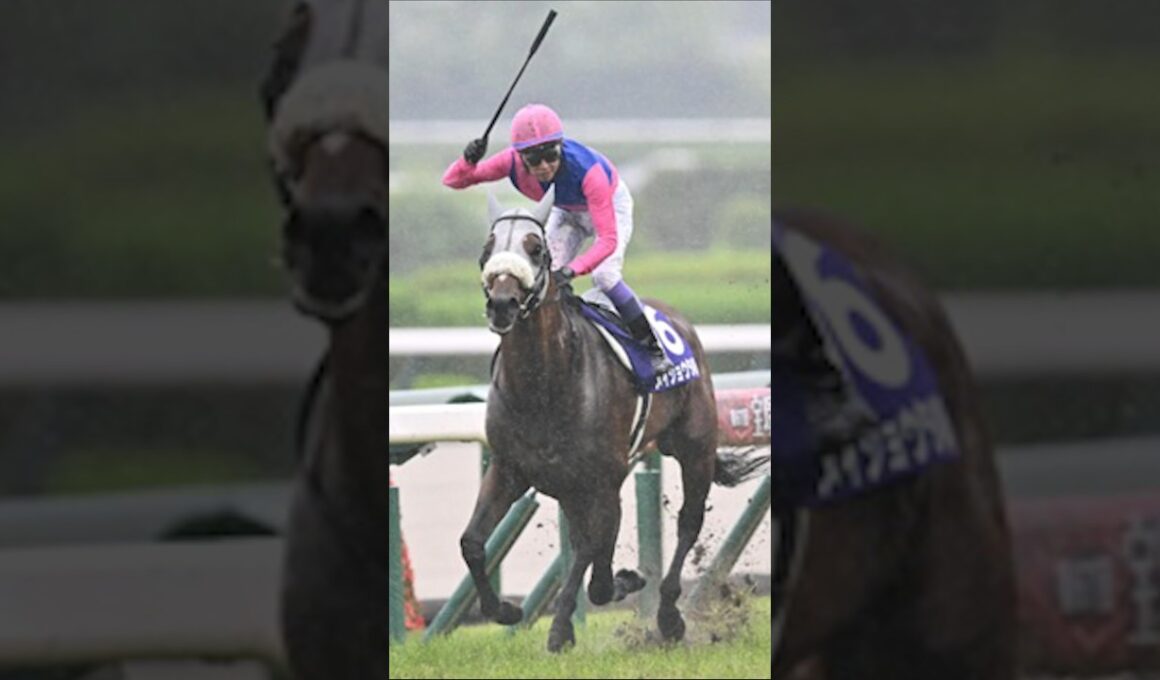 【競馬ファン悶絶】2026春のG1絶対に忘れない瞬間TOP3