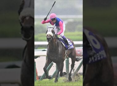 【競馬ファン悶絶】2026春のG1絶対に忘れない瞬間TOP3