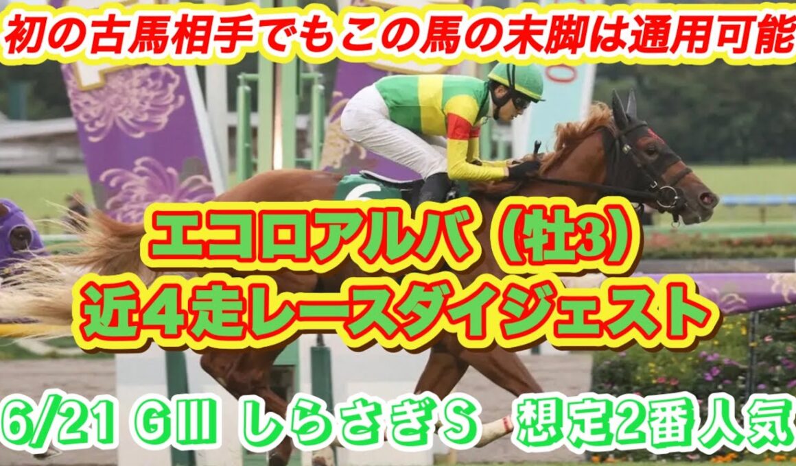 【エコロアルバ】GⅢしらさぎS想定2番人気！サウジアラビアRCの末脚再び✨近4走レースダイジェスト
