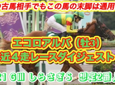 【エコロアルバ】GⅢしらさぎS想定2番人気！サウジアラビアRCの末脚再び✨近4走レースダイジェスト