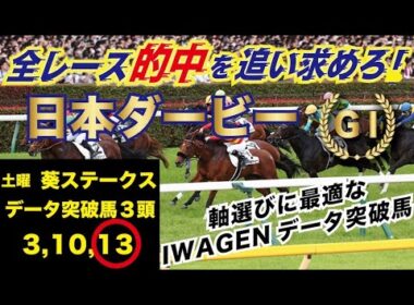 東京優駿日本ダービー。的中確率向上、全レース的中を追い求めろ、確信のＳ評価軸馬も紹介。