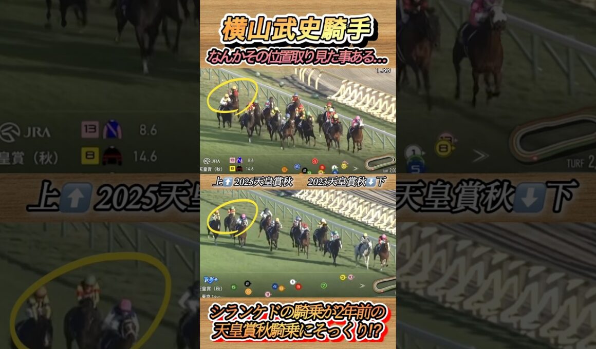 天皇賞秋のシランケド横山武史騎手のレースぶりは2023天皇賞秋をイメージした⁉︎　#競馬  #天皇賞秋  #シランケド  #横山武史  #shorts
