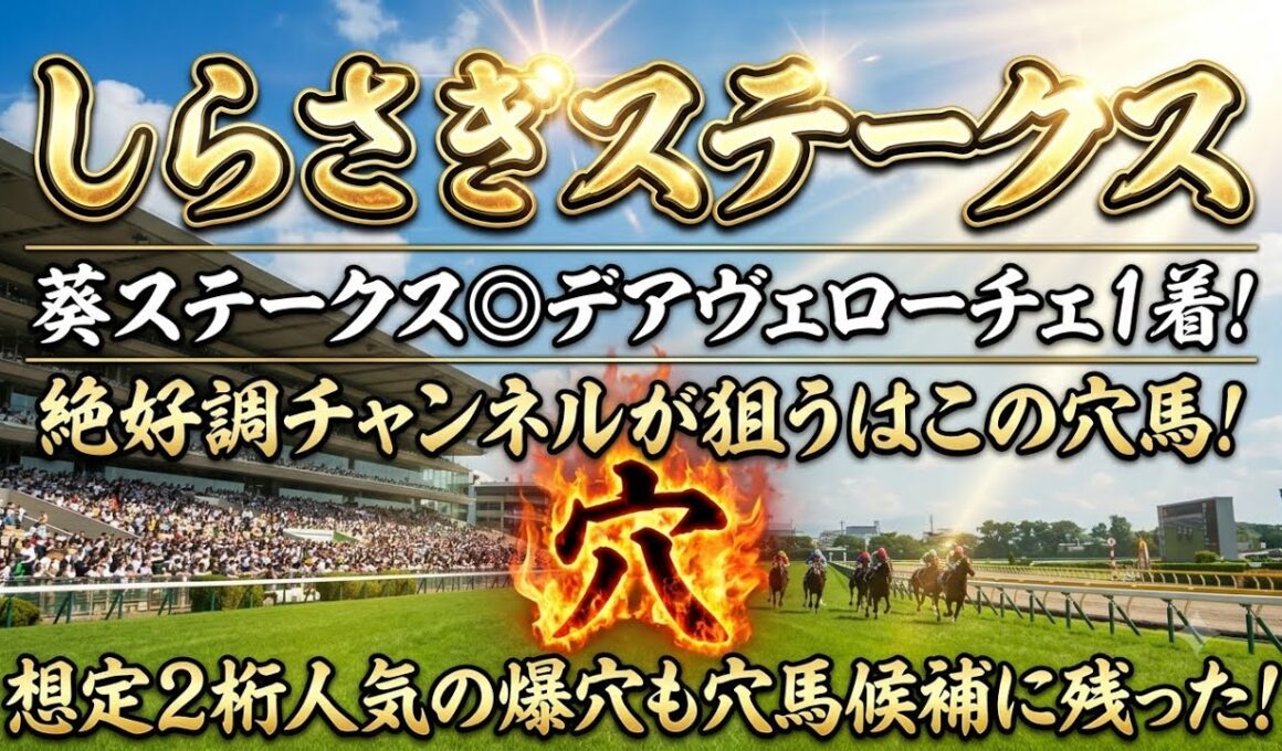 【しらさぎS2026】穴馬候補発表！〇〇の馬をとにかく狙え！穴馬候補はわずか3頭のみ！夏競馬は任せろ！