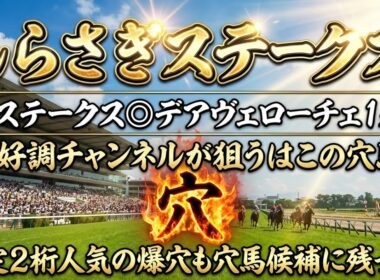【しらさぎS2026】穴馬候補発表！〇〇の馬をとにかく狙え！穴馬候補はわずか3頭のみ！夏競馬は任せろ！