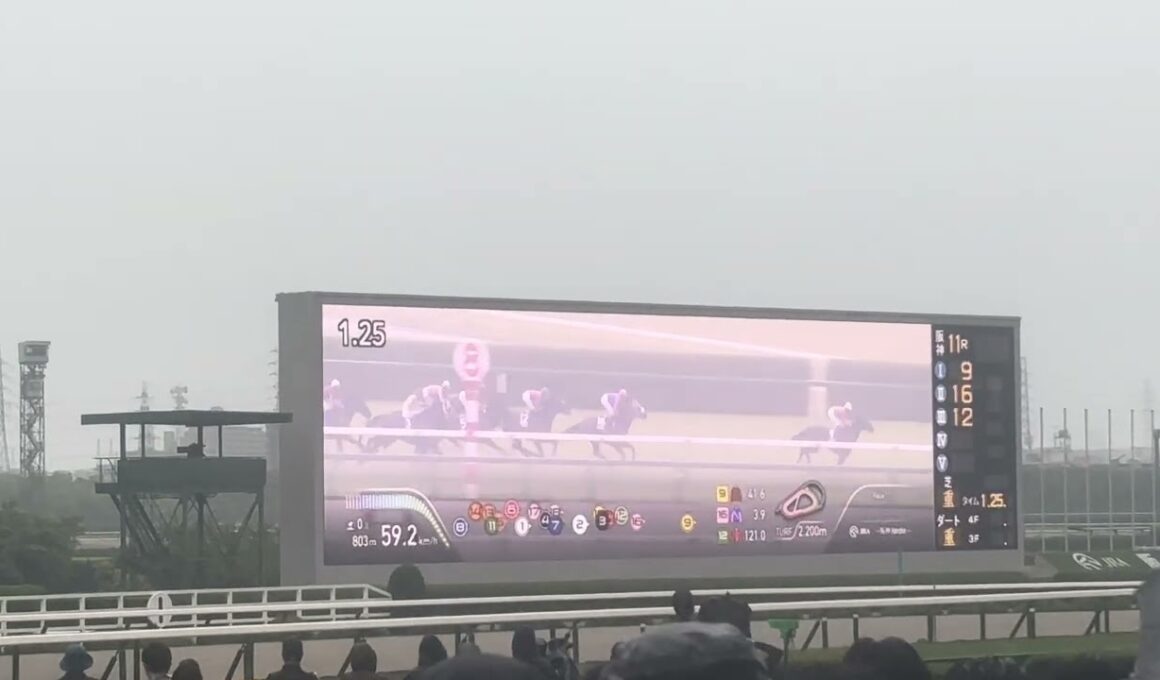 現地 宝塚記念2026 2年連続の武豊マジック 亡きオーナーと共に呼び寄せた幸運の雨 メイショウタバルで連覇達成