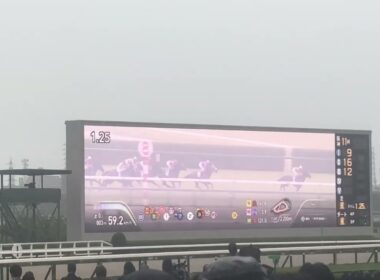 現地 宝塚記念2026 2年連続の武豊マジック 亡きオーナーと共に呼び寄せた幸運の雨 メイショウタバルで連覇達成