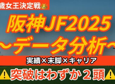 阪神ジュベナイルフィリーズ2025〜データ分析〜