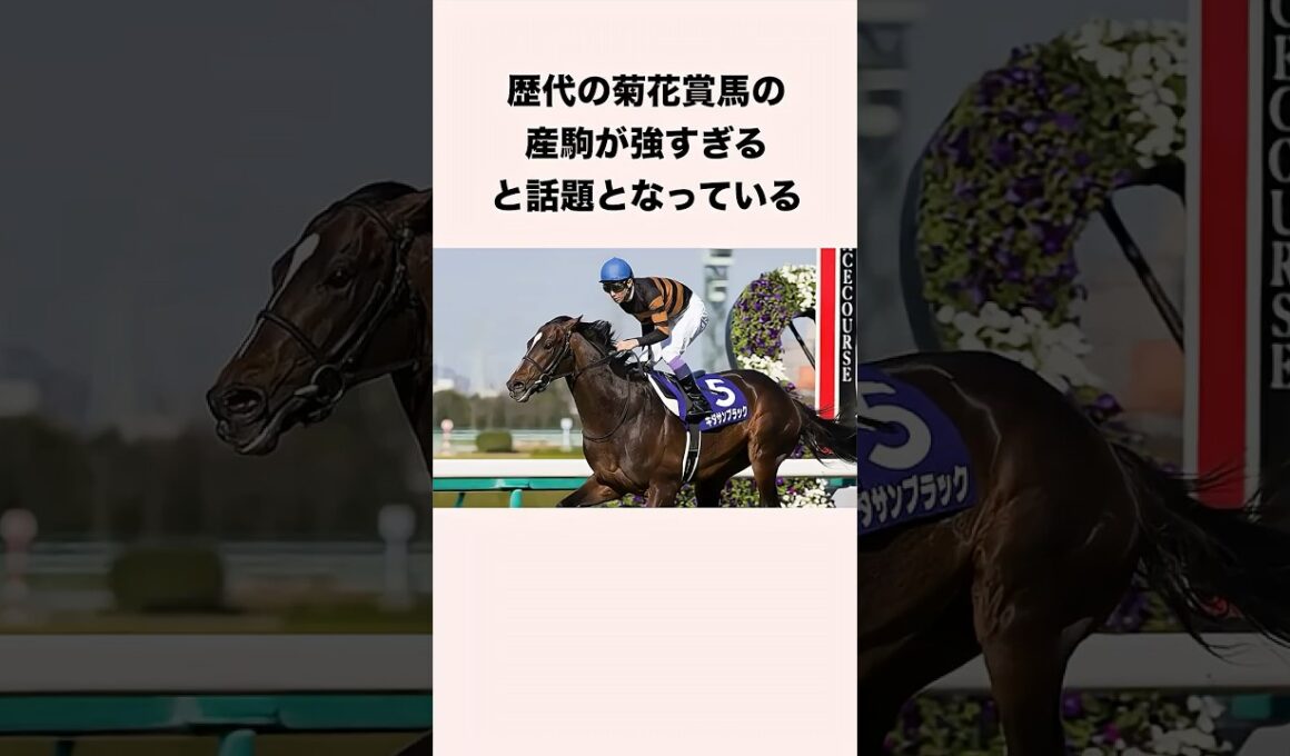 歴代の菊花賞馬の産駒が強すぎると話題となっている #競馬 #競馬予想 #shorts