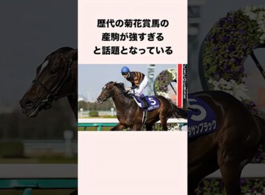 歴代の菊花賞馬の産駒が強すぎると話題となっている #競馬 #競馬予想 #shorts