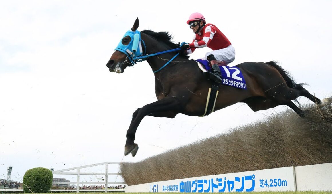 👑41年ぶりの快挙！オジュウチョウサンが競馬史を変えた日🏇✨
