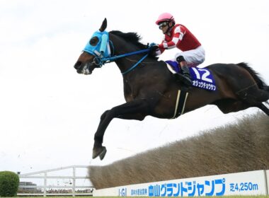 👑41年ぶりの快挙！オジュウチョウサンが競馬史を変えた日🏇✨
