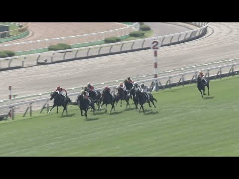 🏇🔥【衝撃復活】モンローウォーク、10カ月ぶりで楽勝！秋華賞最有力候補が誕生した瞬間！！🔥🏇