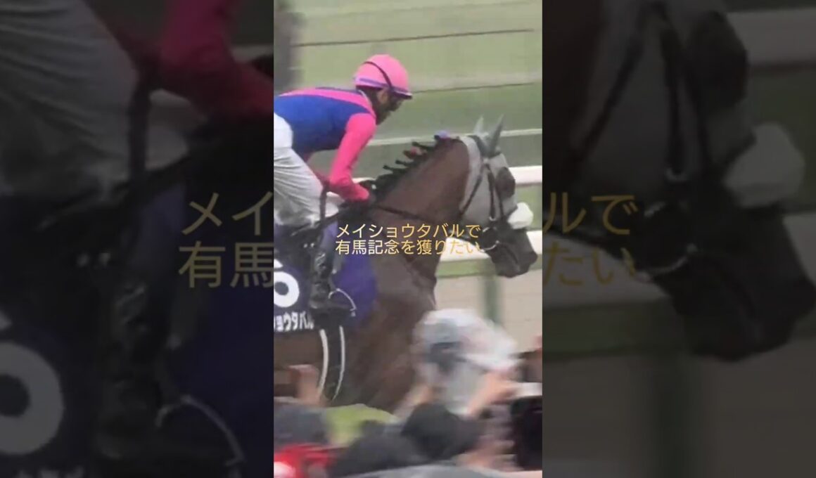 【ネバる👑タバル】松本好雄オーナーと武豊騎手の絆#メイショウタバル#有馬記念2026