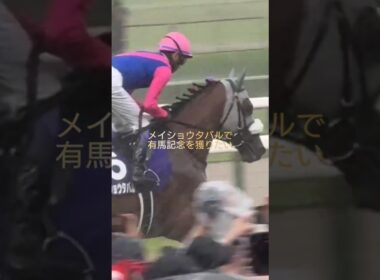 【ネバる👑タバル】松本好雄オーナーと武豊騎手の絆#メイショウタバル#有馬記念2026