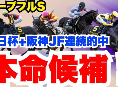 【ホープフルS】阪神JF→朝日杯FS→ホープフルS2歳G1制覇狙います！本命候補を公開
