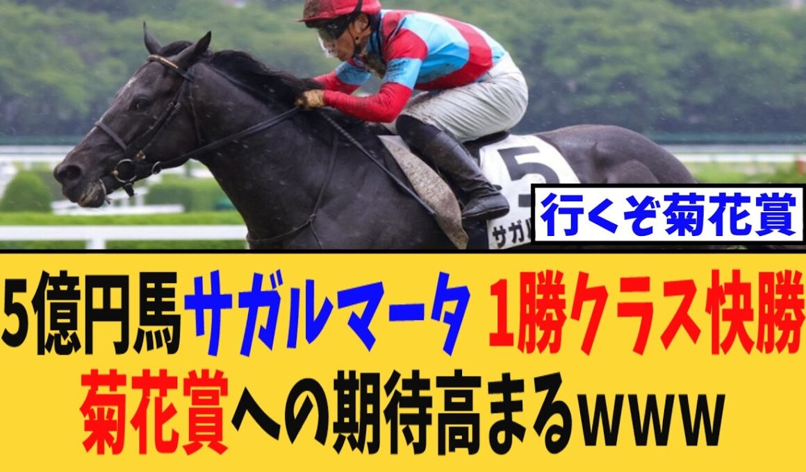 【菊花賞】5億円馬サガルマータが1勝クラス快勝で菊花賞への期待高まるｗｗｗ【競馬反応集】
