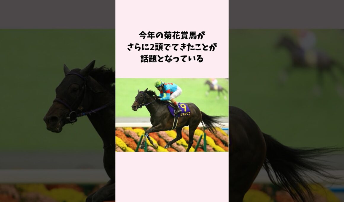今年の菊花賞馬がさらに2頭でてきたことが話題となっている。#競馬　#競馬予想　#菊花賞　#jra #shorts