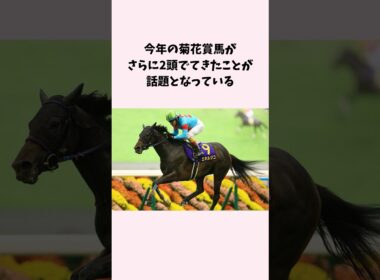 今年の菊花賞馬がさらに2頭でてきたことが話題となっている。#競馬　#競馬予想　#菊花賞　#jra #shorts
