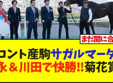 コントレイル産駒、サガルマータ福永＆川田で快勝‼菊花賞も視野に【競馬】