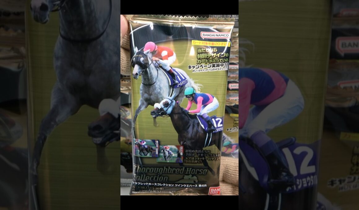 サラブレッドホースコレクション ツインウエハース 第4R『1BOX 開封』Thoroughbred Horse Race 4 Card Horse Racing カード 競馬 食玩