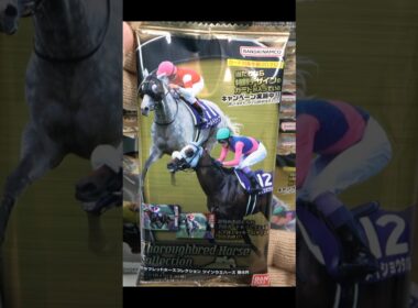 サラブレッドホースコレクション ツインウエハース 第4R『1BOX 開封』Thoroughbred Horse Race 4 Card Horse Racing カード 競馬 食玩
